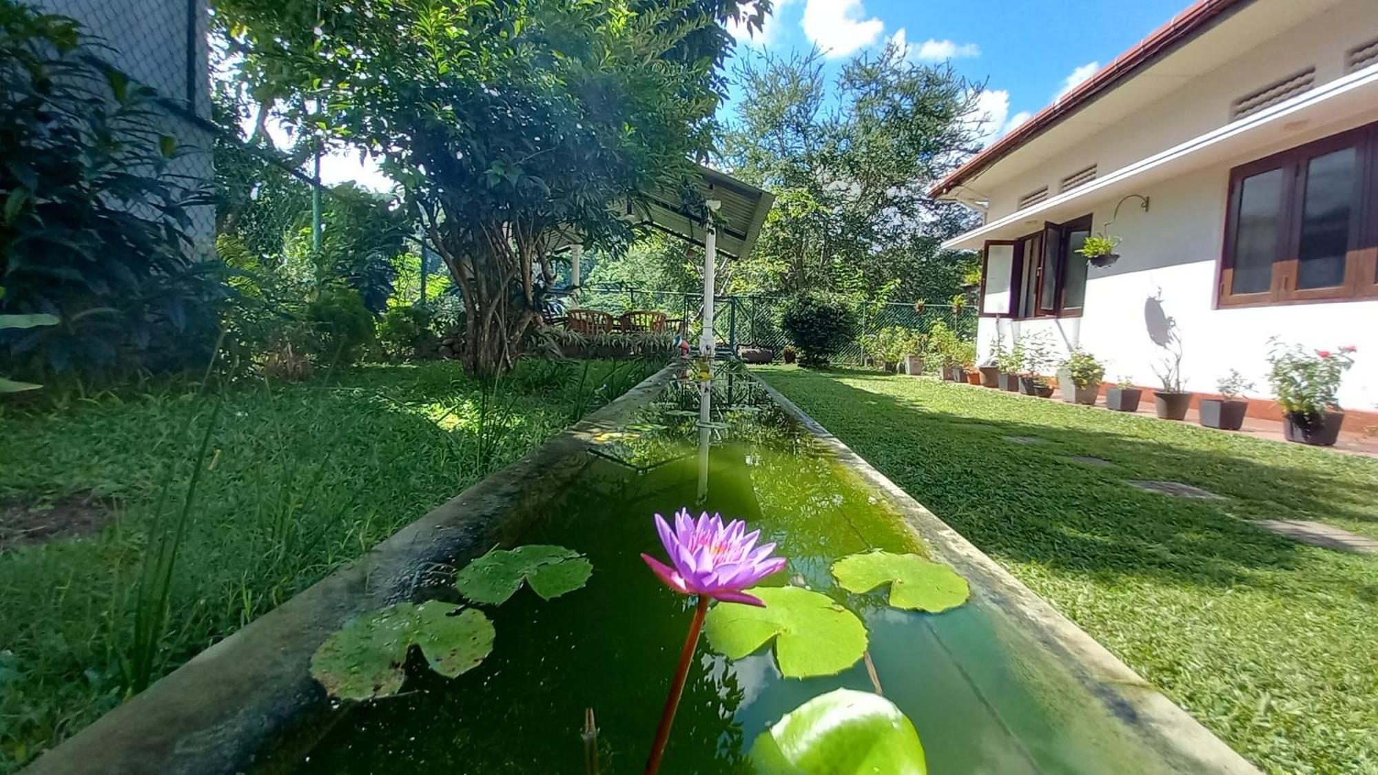 Mahaweli Shades Hotel แคนดี้ ภายนอก รูปภาพ