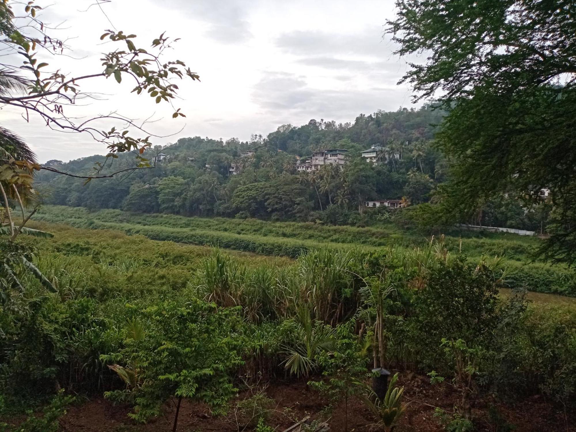 Mahaweli Shades Hotel แคนดี้ ภายนอก รูปภาพ