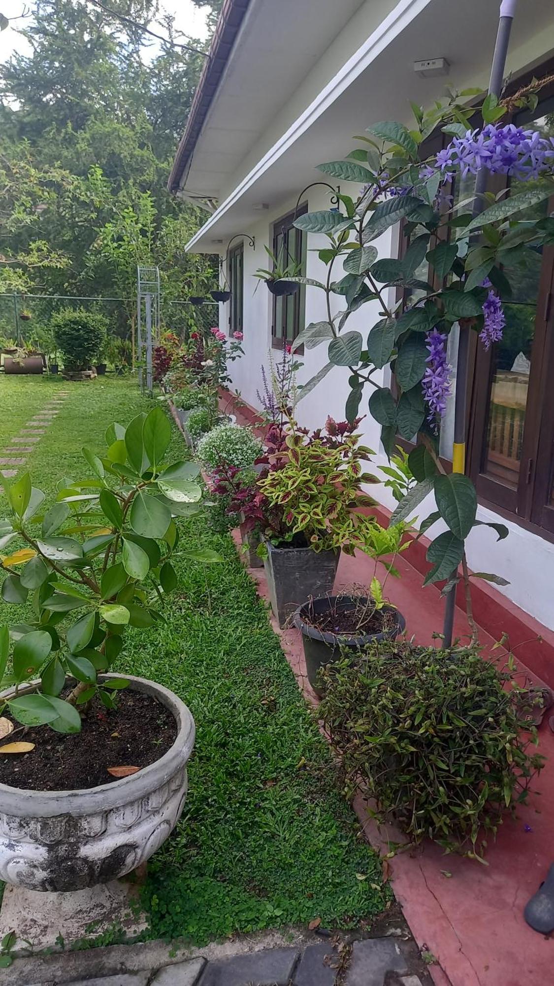 Mahaweli Shades Hotel แคนดี้ ภายนอก รูปภาพ